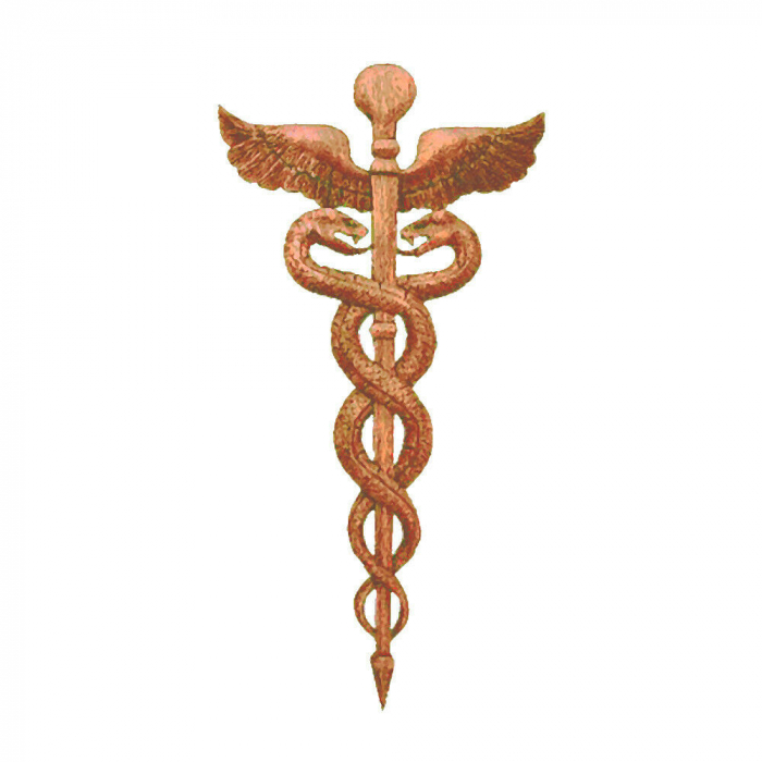 Wandschmuck Wandrelief Caduceus Äskulapstab Handarbeit Holz Heilung Arzt Deko