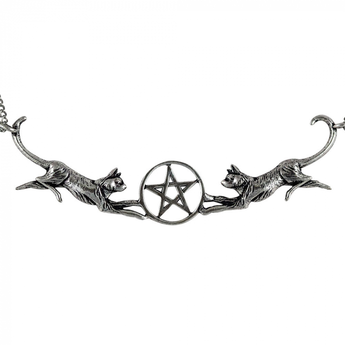 Familiars-Pentakel Schmuck Anhänger Magische Tiere Hexen Magier 2x7,5 cm + Kette